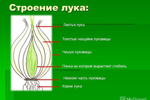 Блэк спрут оригинал