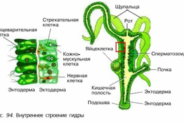 Ссылка сайта блекспрут